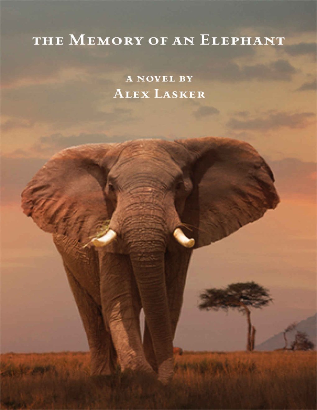 Cover of The Memory of an Elephant