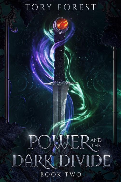 Cover of Power and the Dark Divide : Book Two