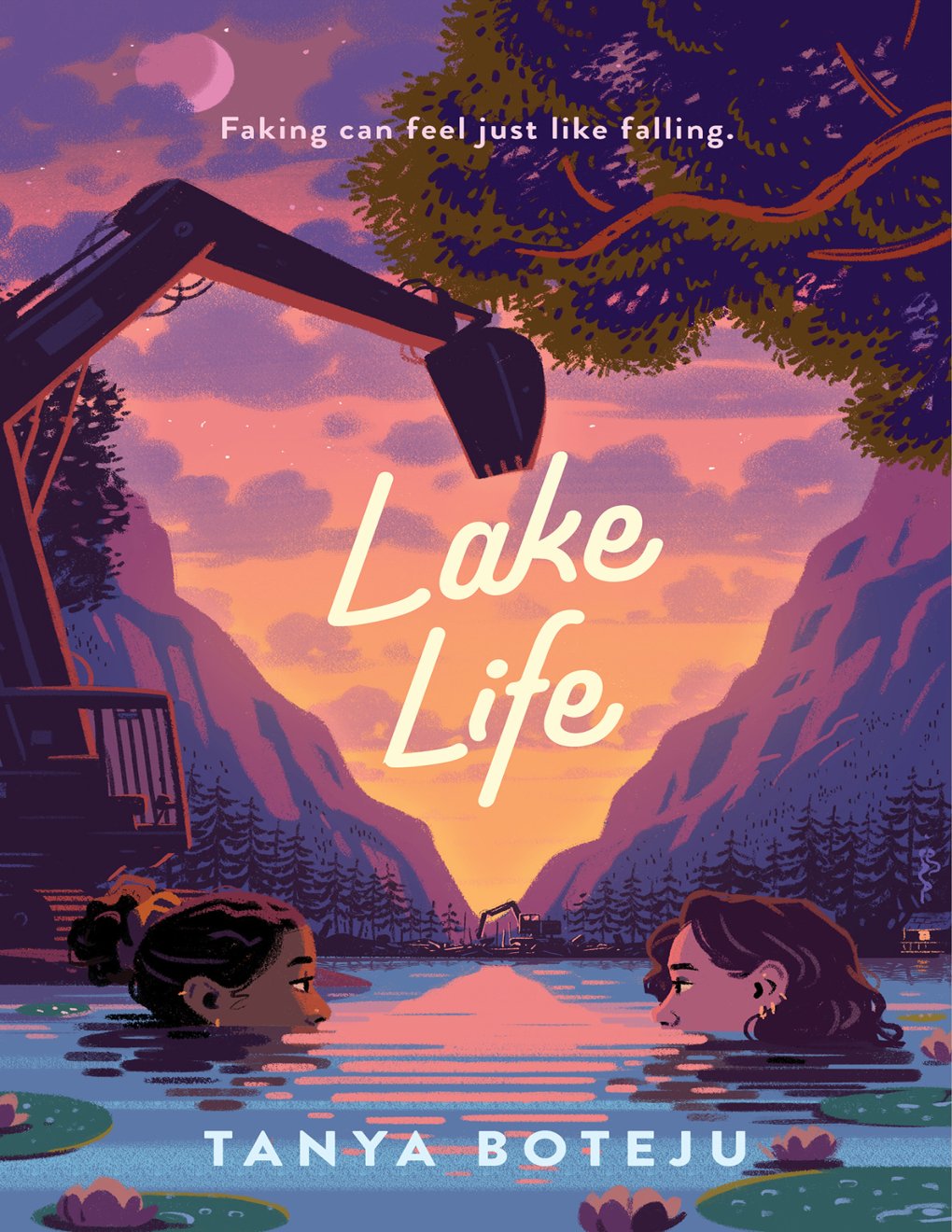 Cover of Lake Life