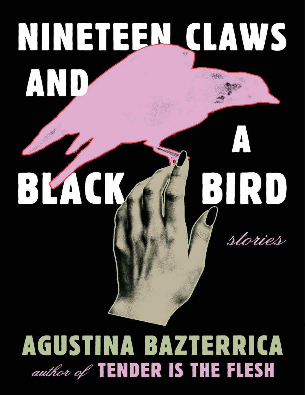 Cover of Nineteen Claws and a Black Bird: Stories