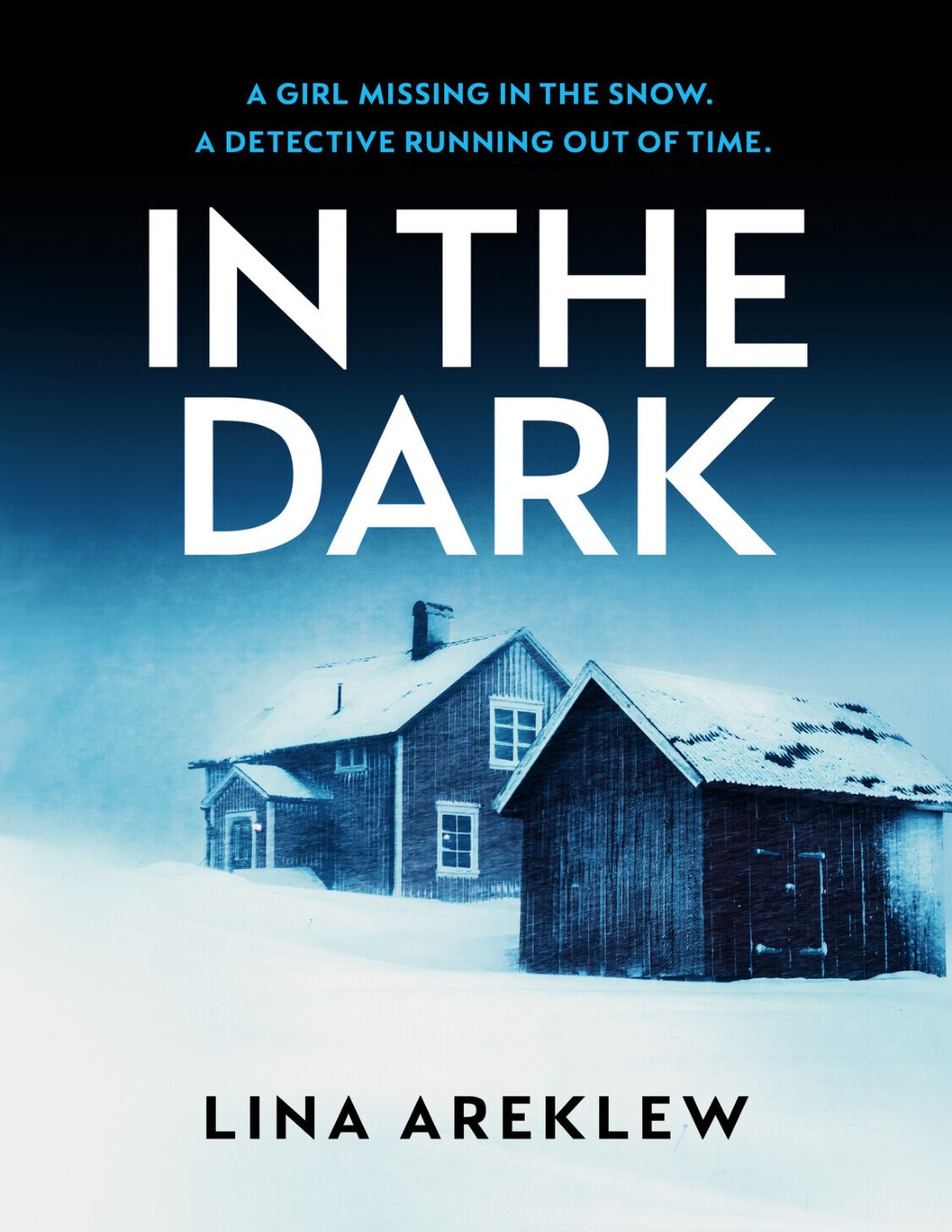 Cover of In the Dark