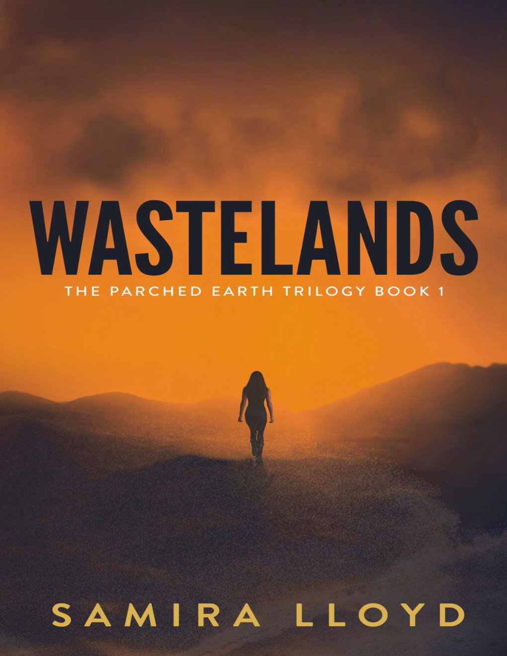 Cover of Wastelands