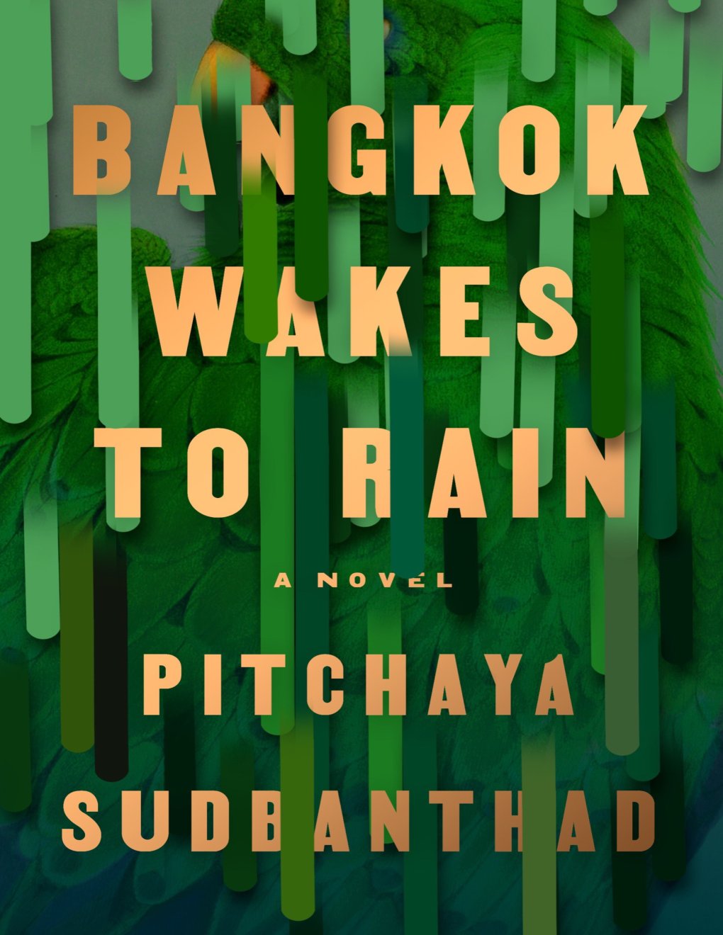 Cover of Bangkok Wakes to Rain: A Novel