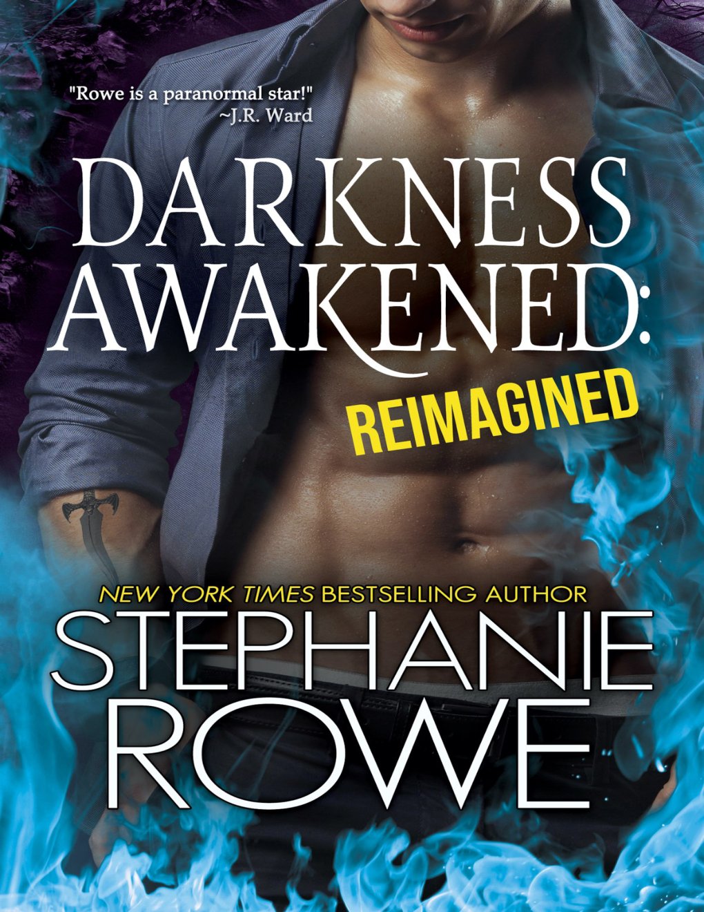 Cover of Darkness Awakened