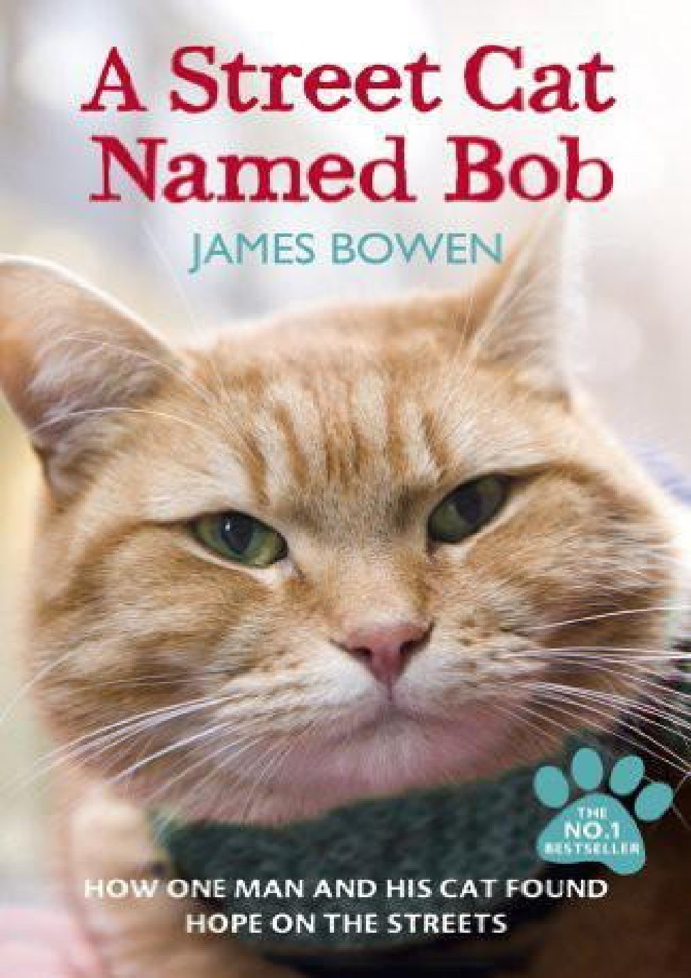 Cover of A Street Cat Named Bob