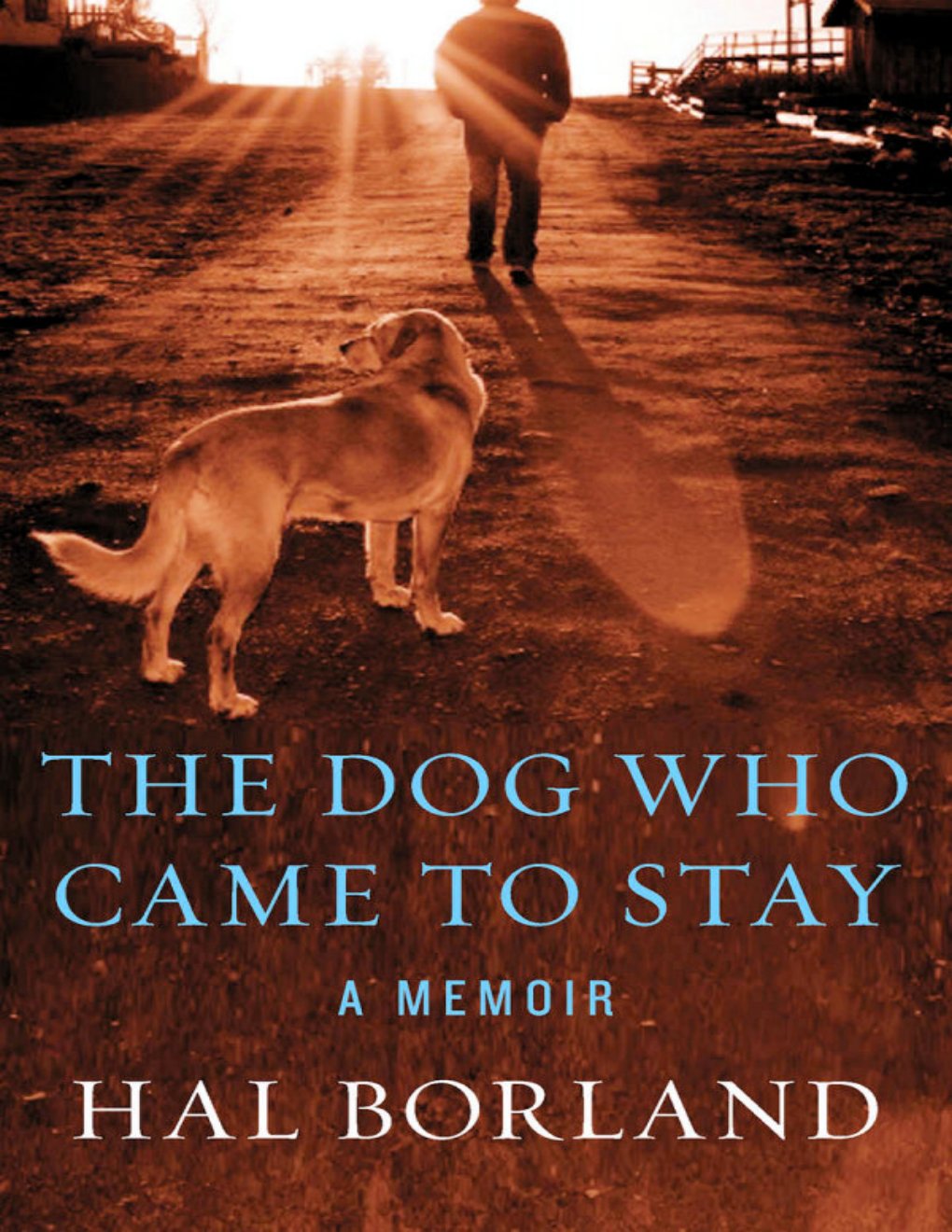 Cover of The Dog Who Came to Stay: A Memoir