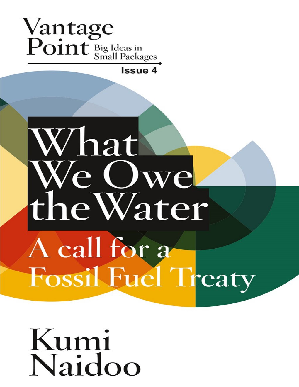 Cover of What We Owe the Water