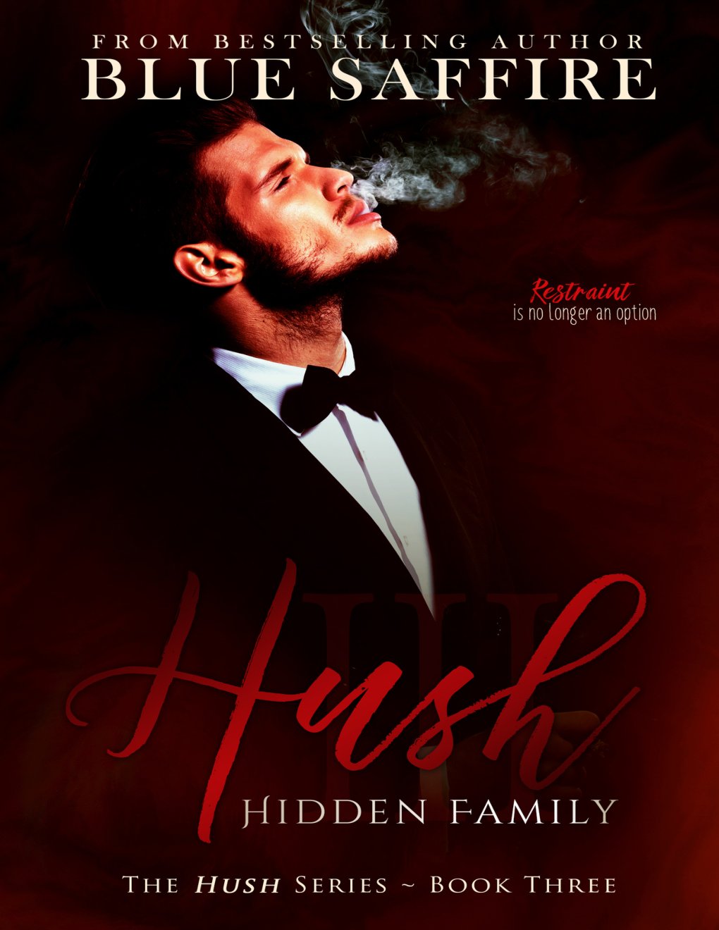 Cover of Hush 3 : Hidden Family (Hush Series)