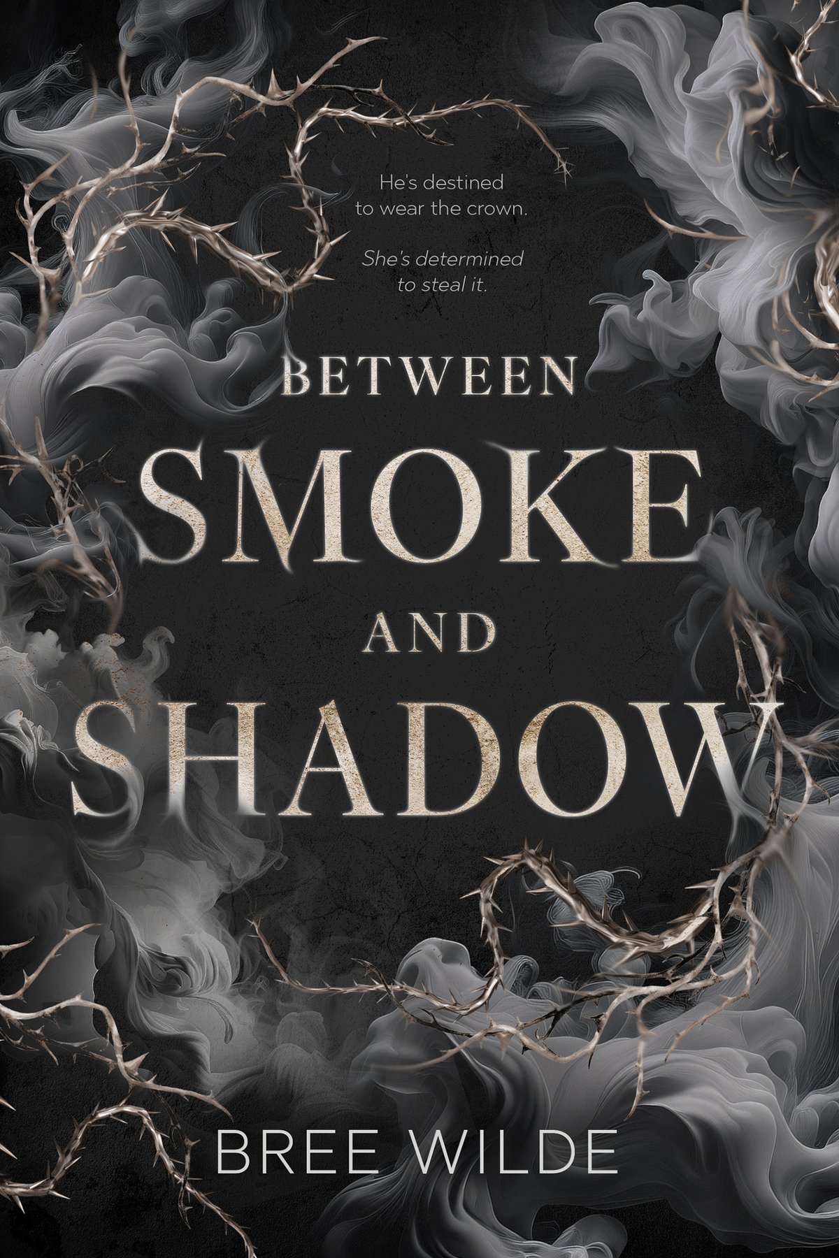 Cover of Between Smoke and Shadow- A Forbidden Love Romantasy (2025)