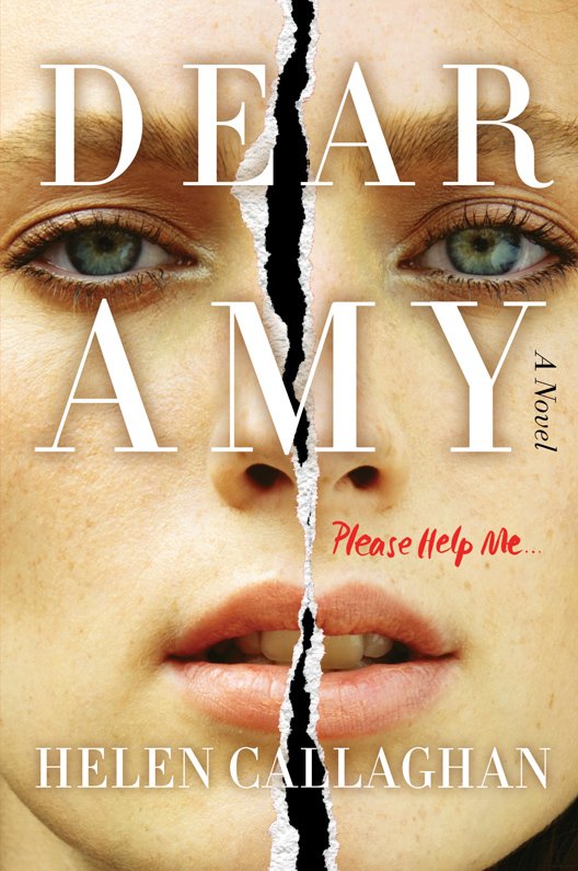 Cover of Dear Amy (2016)