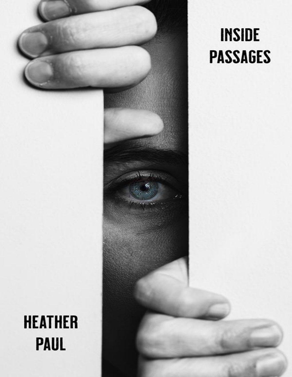 Cover of Inside Passages: A Novel