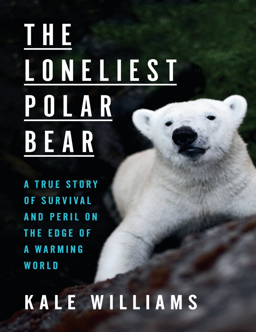 Cover of The Loneliest Polar Bear