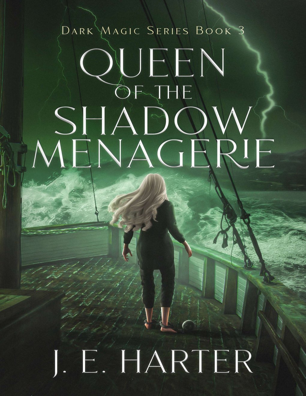 Cover of Queen of the Shadow Menagerie