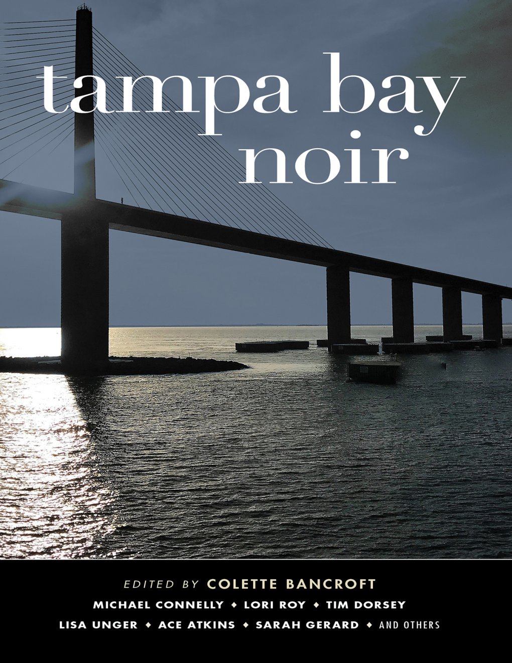 Cover of Tampa Bay Noir