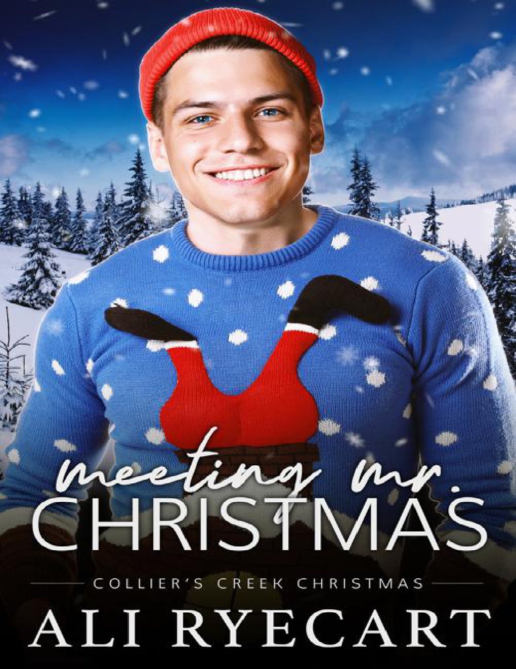 Cover of Meeting Mr. Christmas