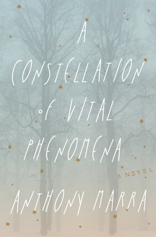 Cover of A Constellation of Vital Phenomena