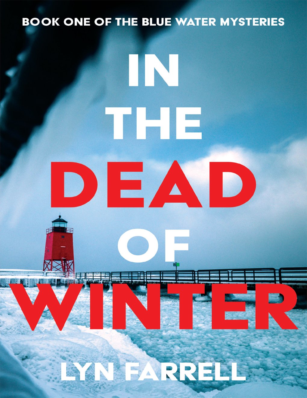 Cover of In the Dead of Winter