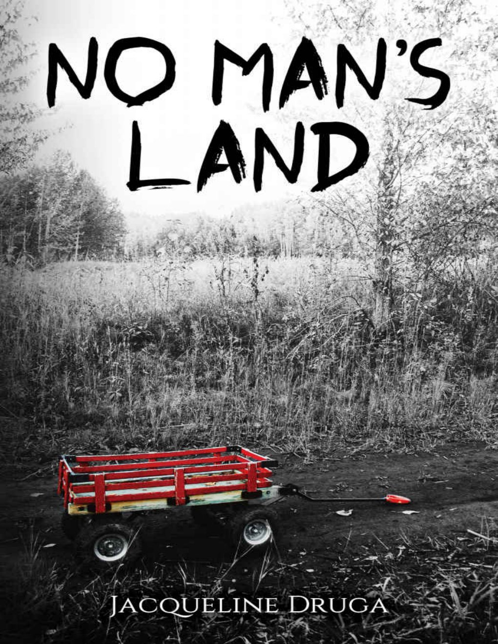 Cover of No Man's Land