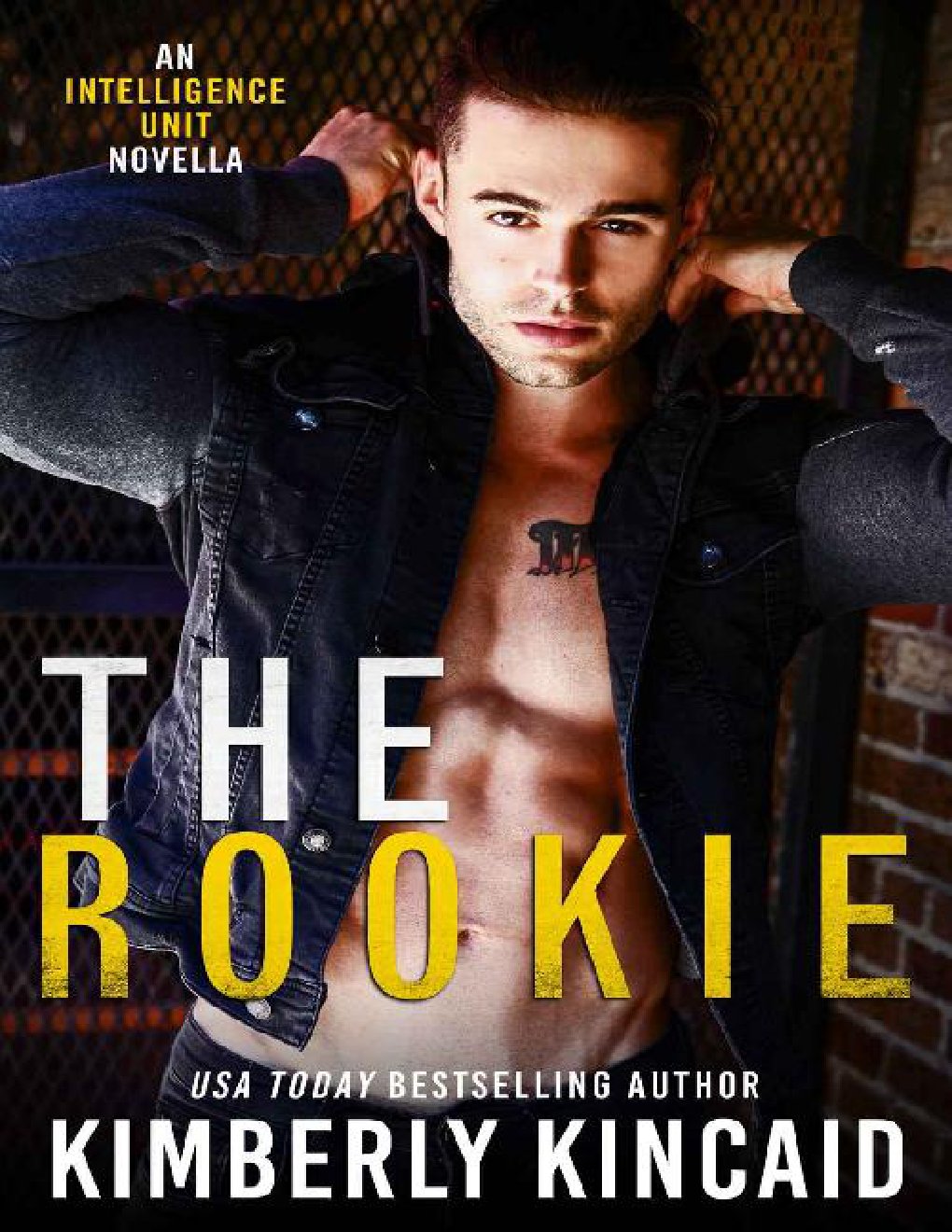 Cover of The Rookie: A Romantic Suspense Standalone (The Intelligence Unit Book 1)