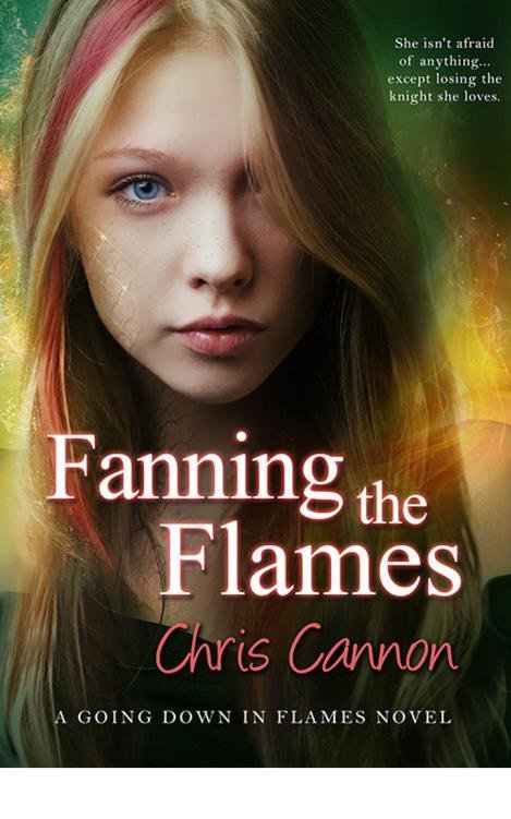 Cover of Fanning the Flames (2017)