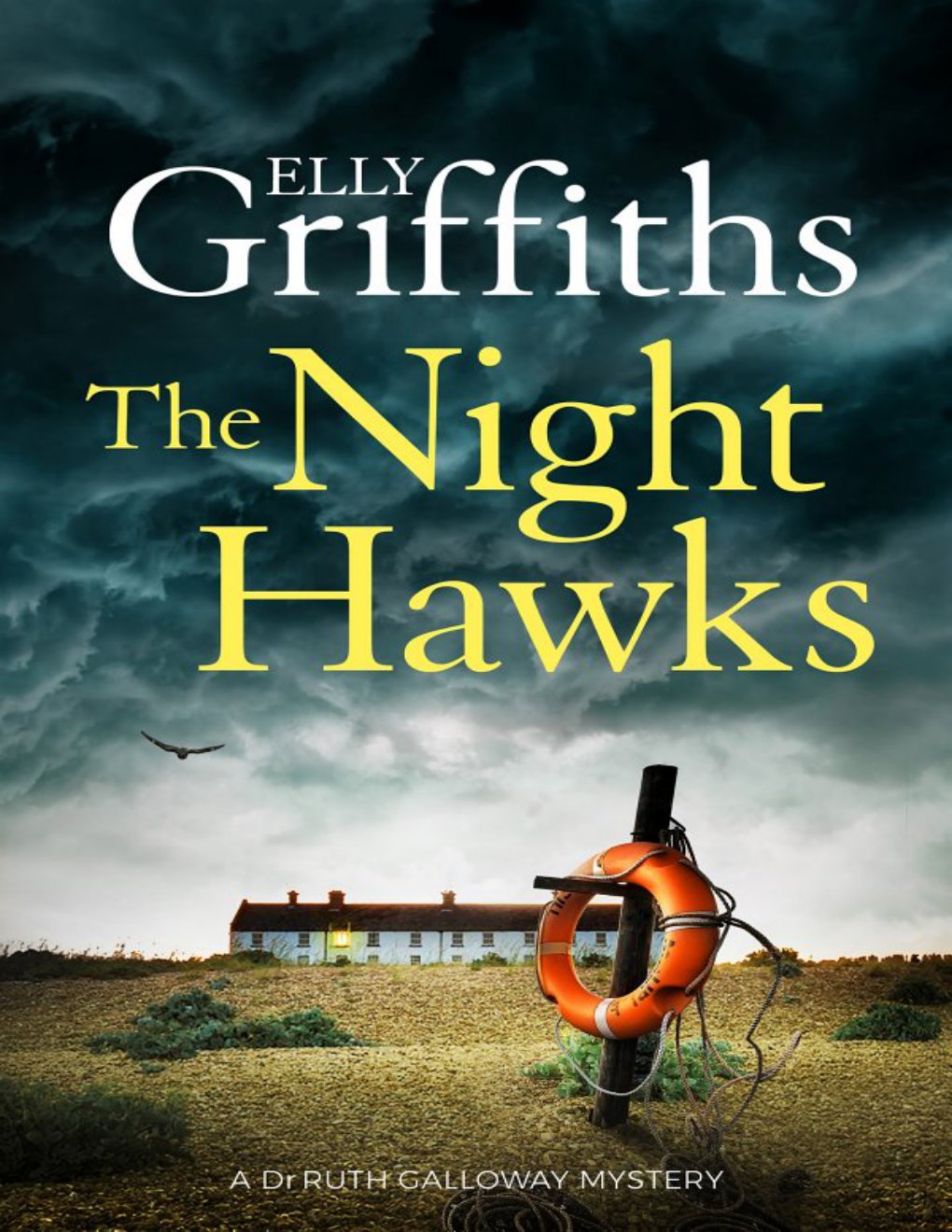 Cover of The Night Hawks