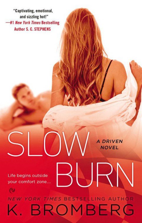Cover of Slow Burn