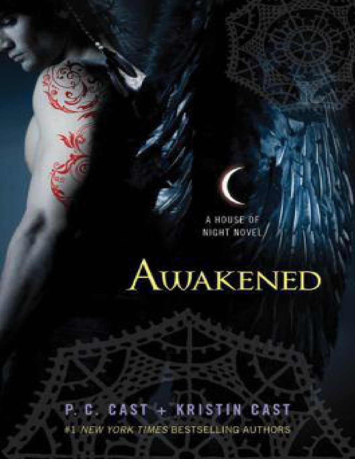 Cover of Awakened (2011)