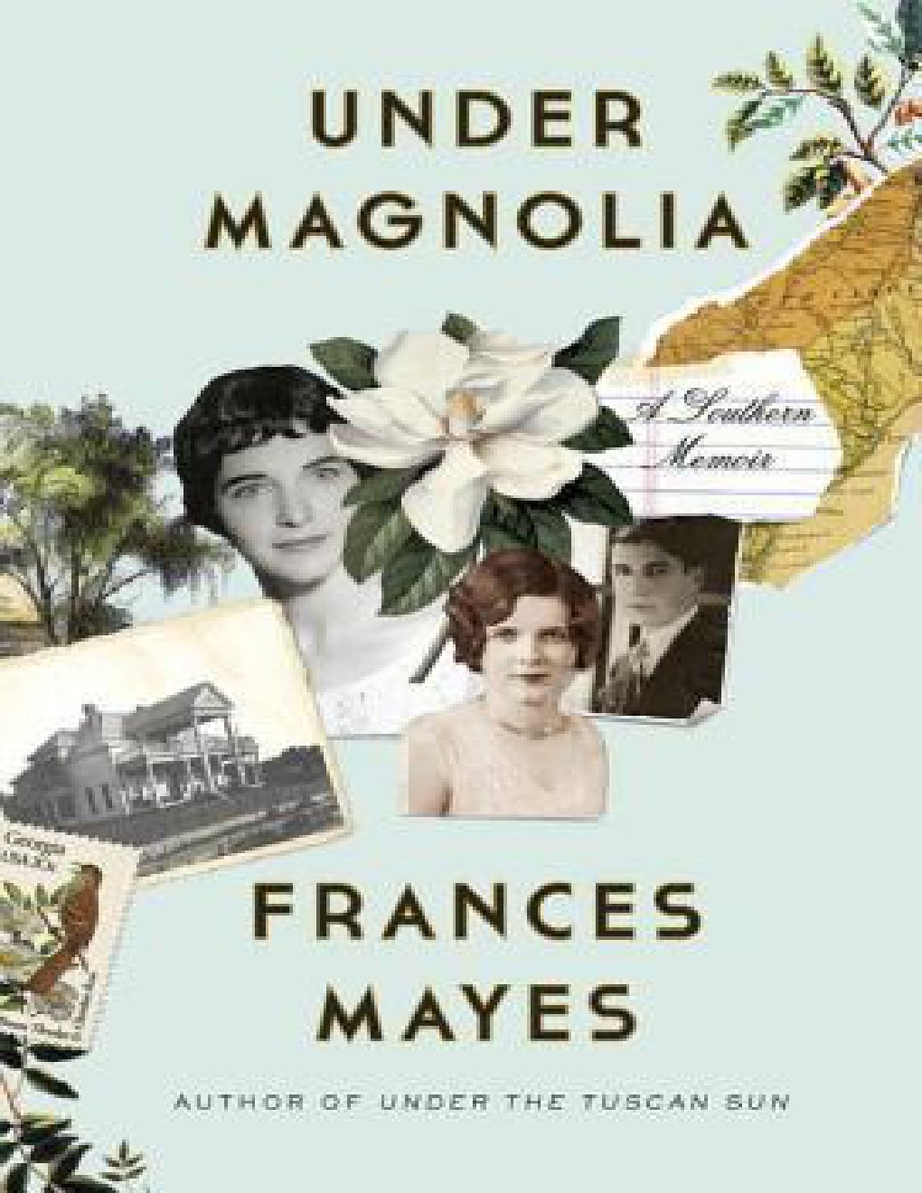 Cover of Under Magnolia: A Southern Memoir