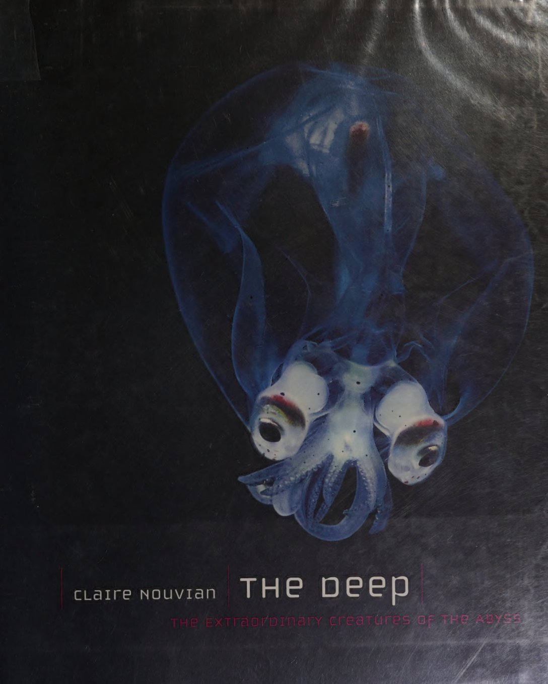 Cover of The deep