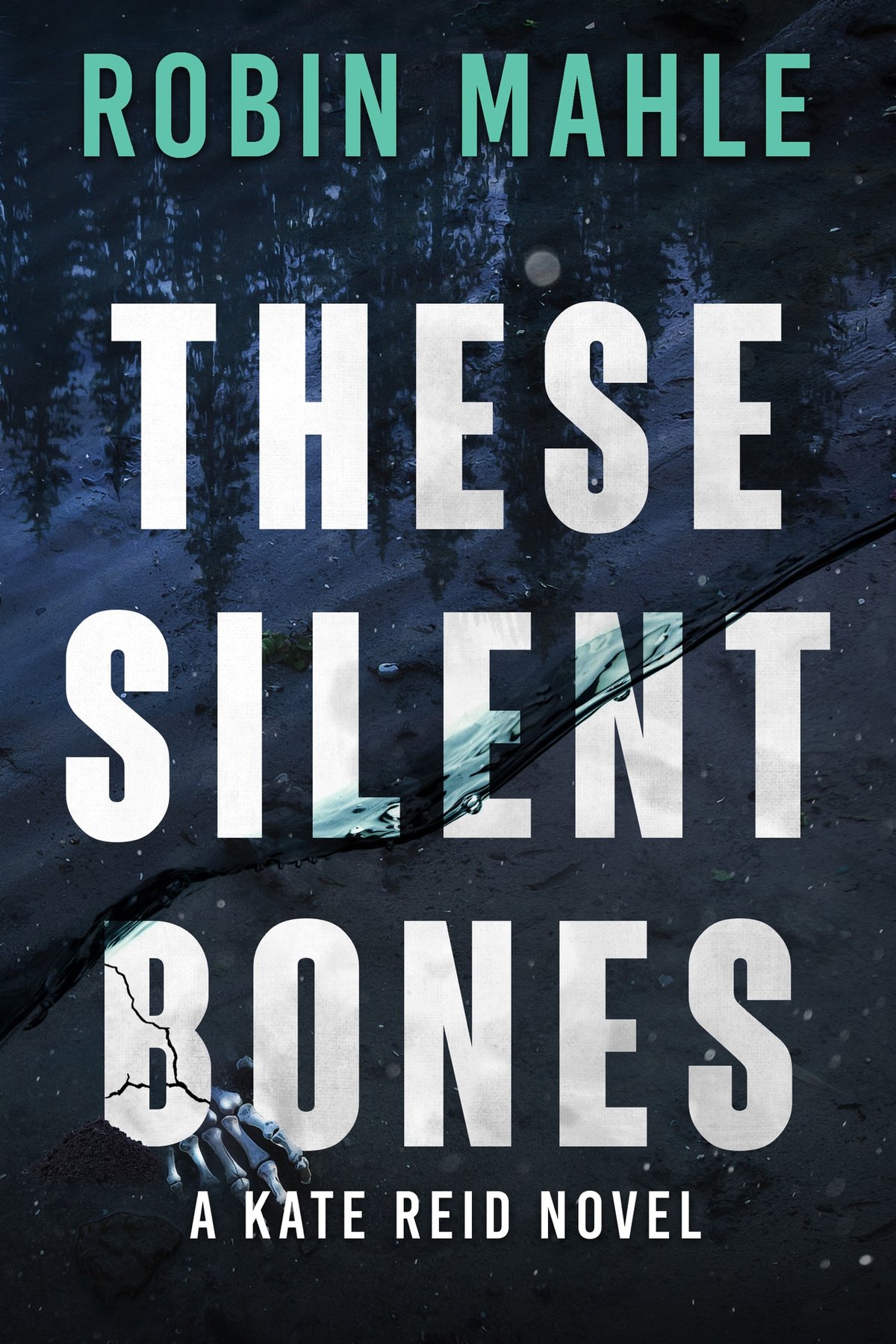 Cover of These Silent Bones (2024)