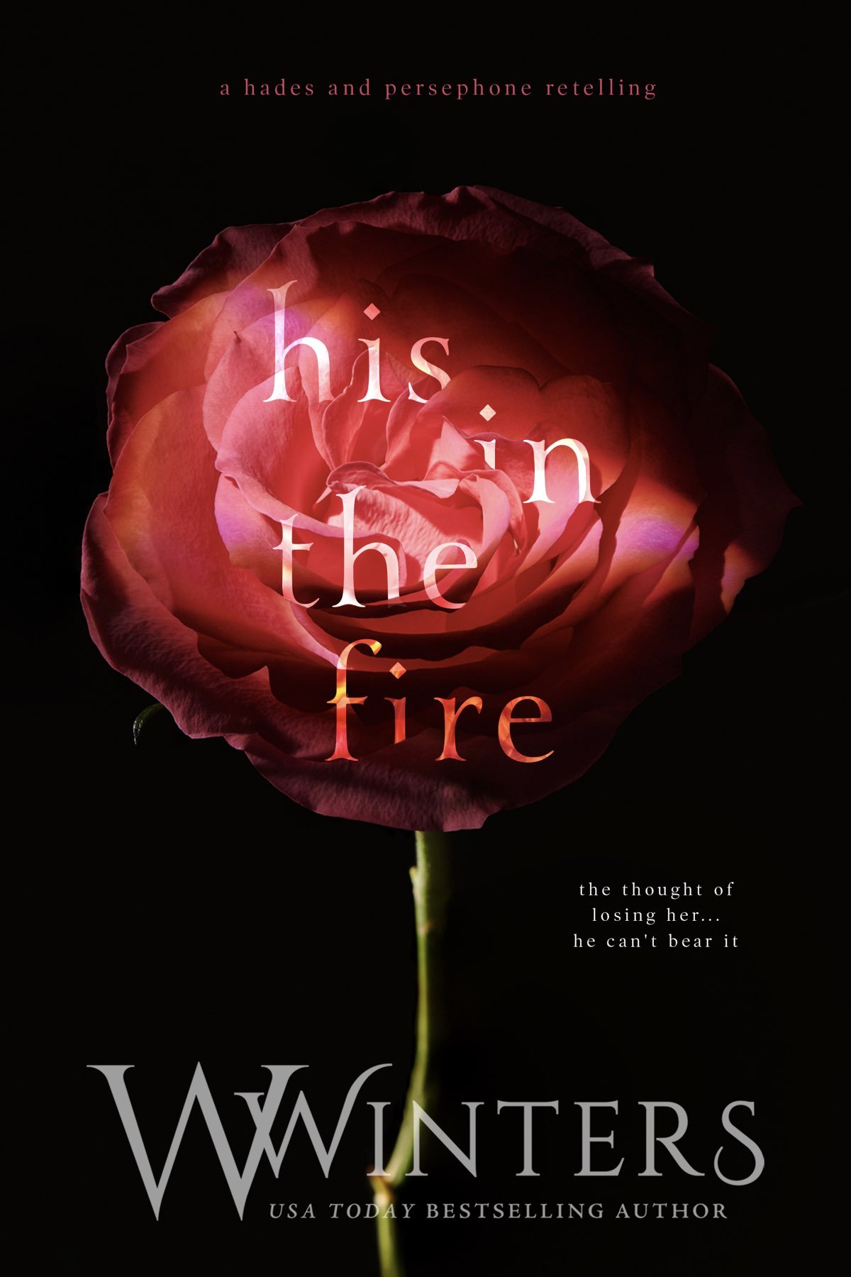 Cover of His in The Fire