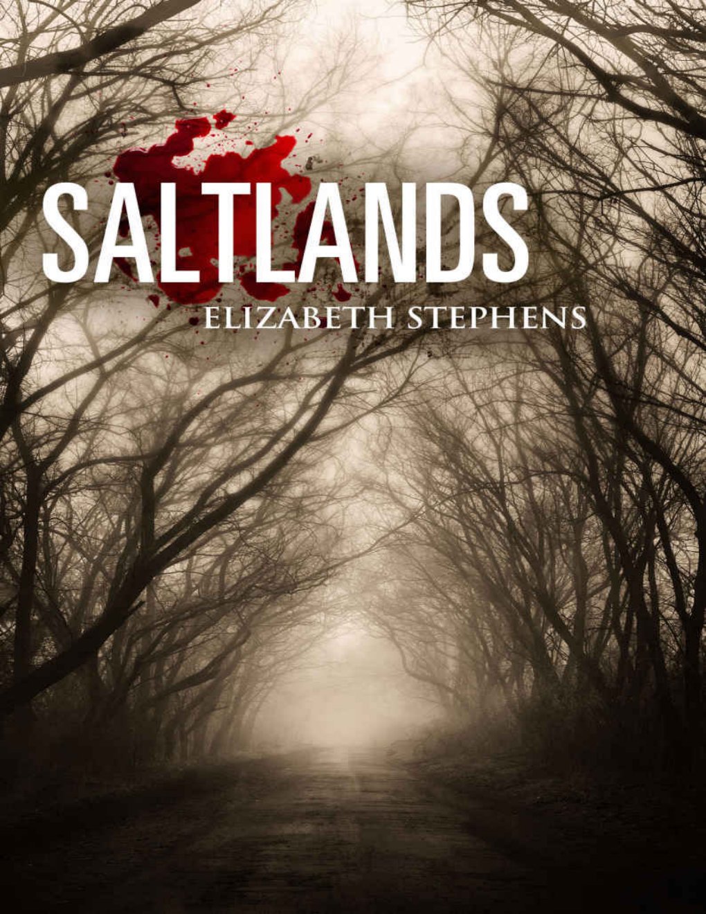 Cover of Saltlands (Population)