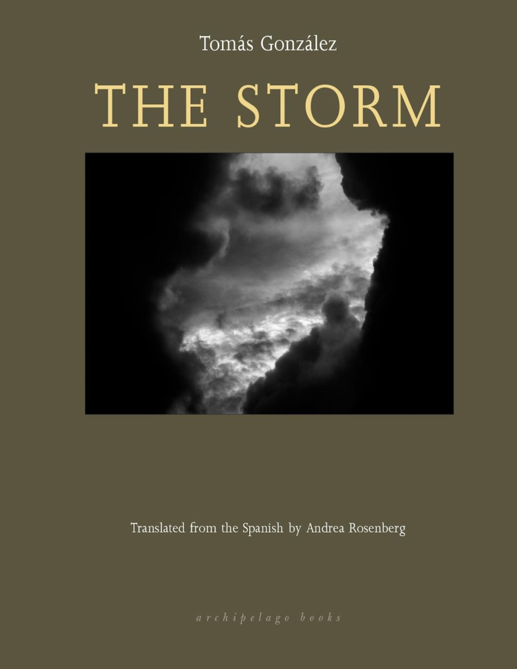 Cover of The Storm