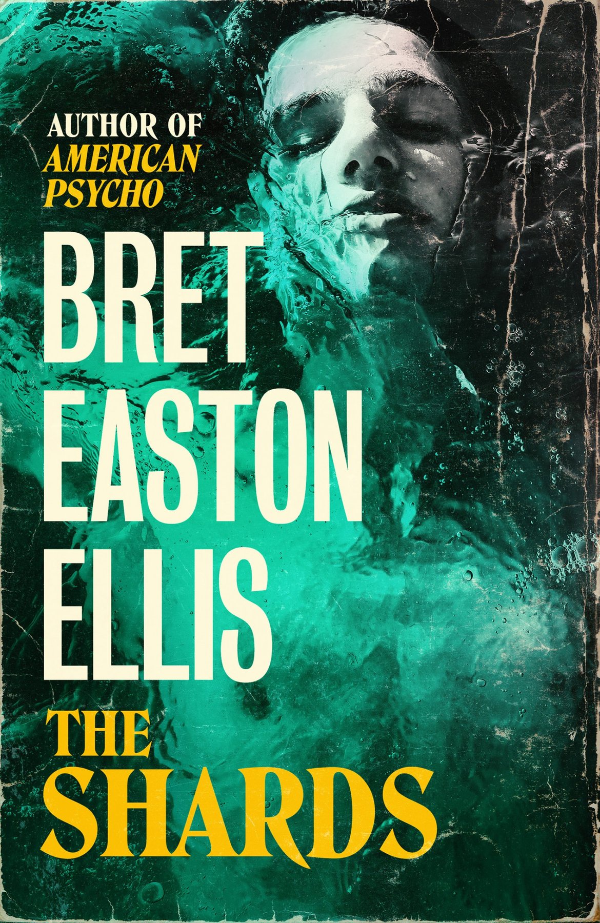 Cover of The Shards (1981)