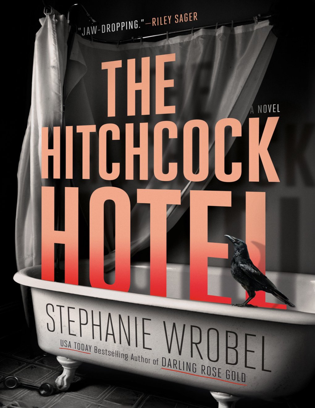 Cover of The Hitchcock Hotel