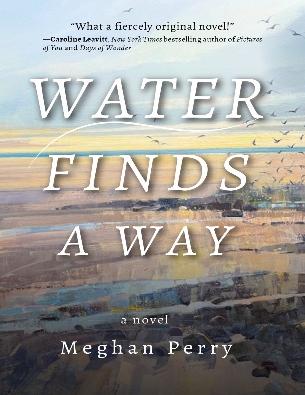Cover of Water Finds a Way a novel