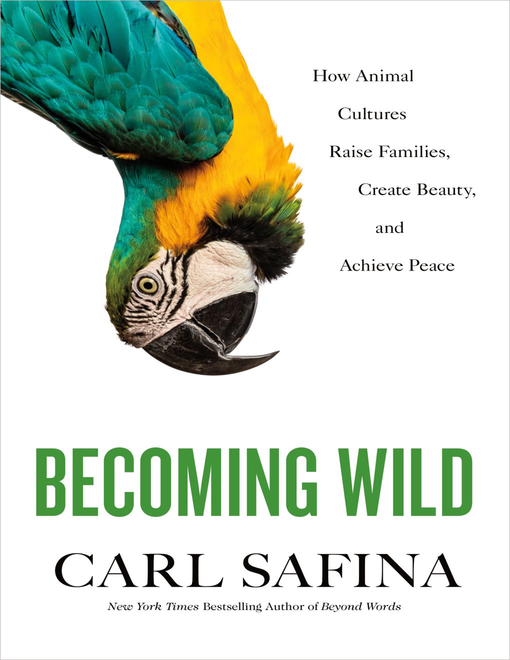 Cover of Becoming Wild