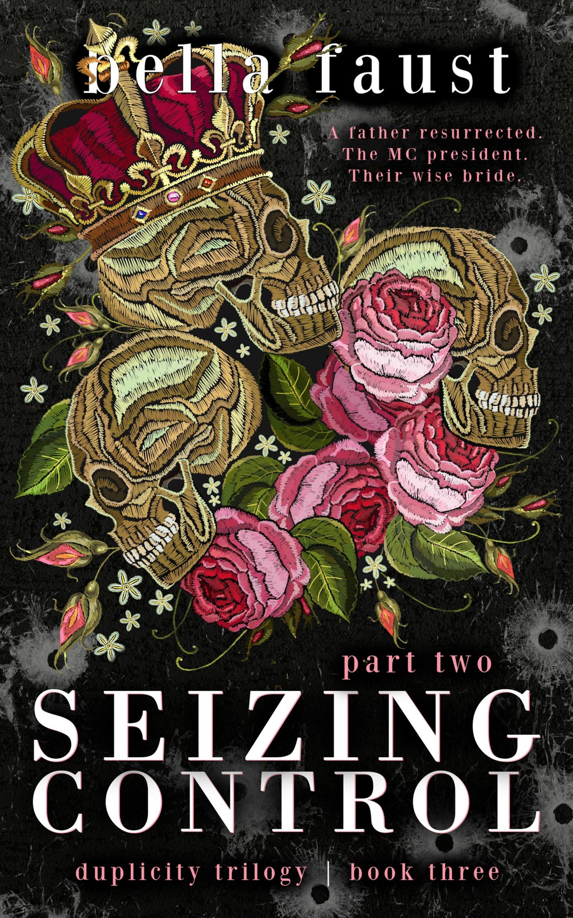 Cover of Seizing Control | Part Two (Duplicity Trilogy Book 4)