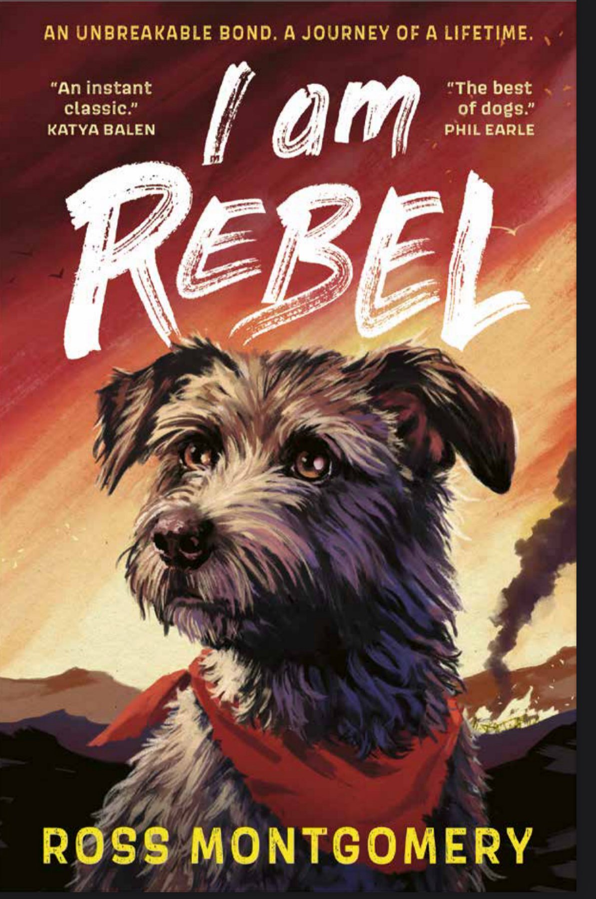 Cover of I Am Rebel