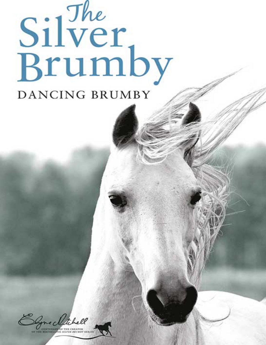 Cover of Dancing Brumby (1968)