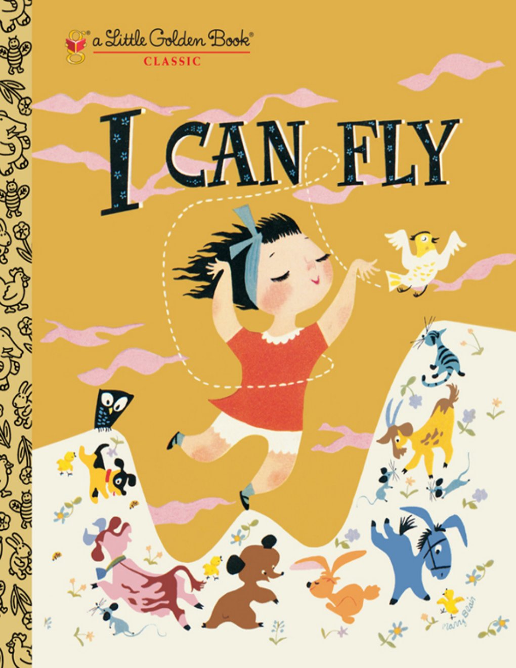 Cover of I Can Fly