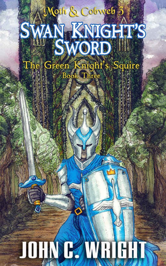 Cover of Swan Knight's Sword (Moth & Cobweb Book 3)