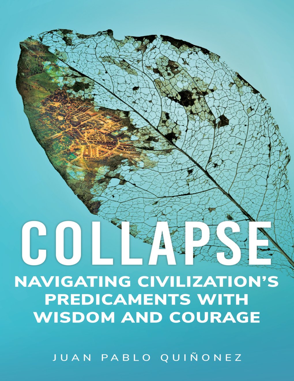 Cover of Collapse: Navigating Civilization's Predicaments With Wisdom and Courage
