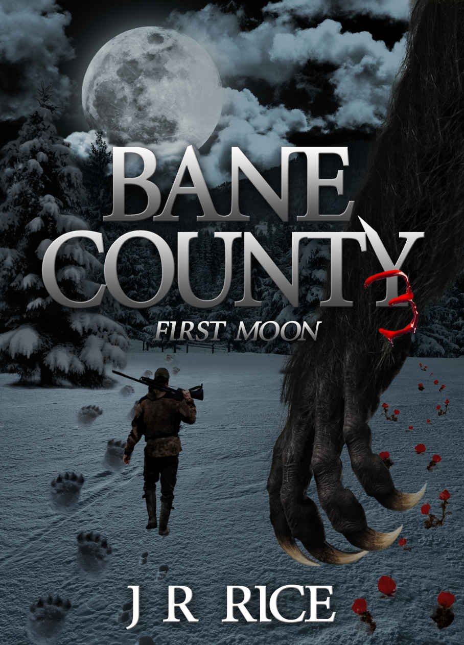 Cover of First Moon