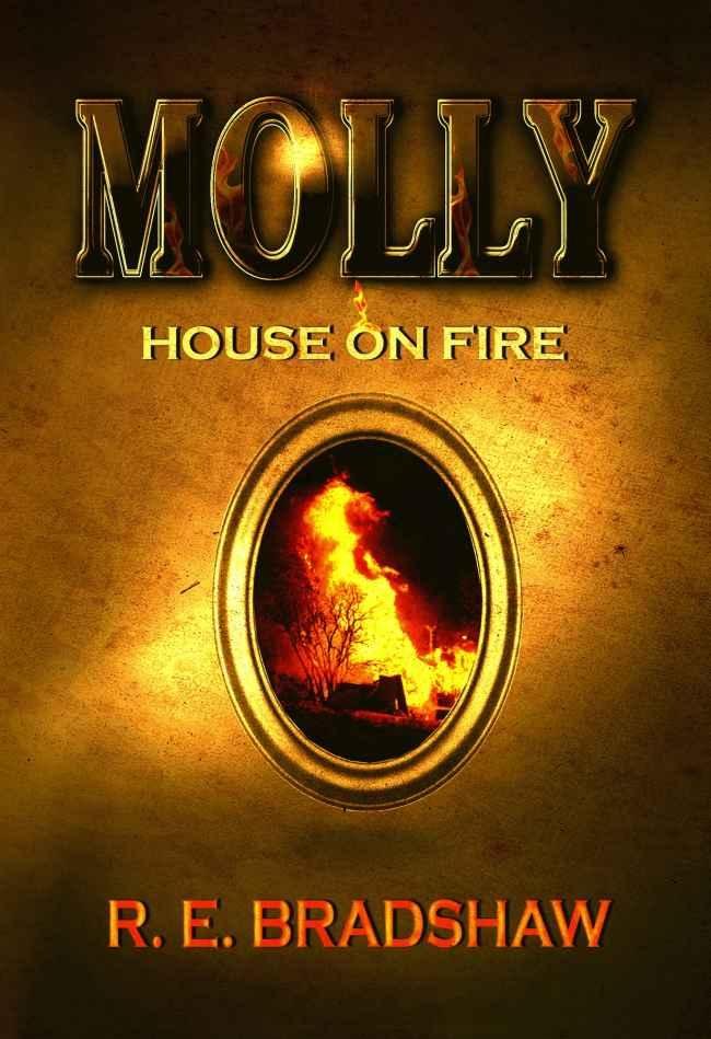 Cover of Molly: House on Fire