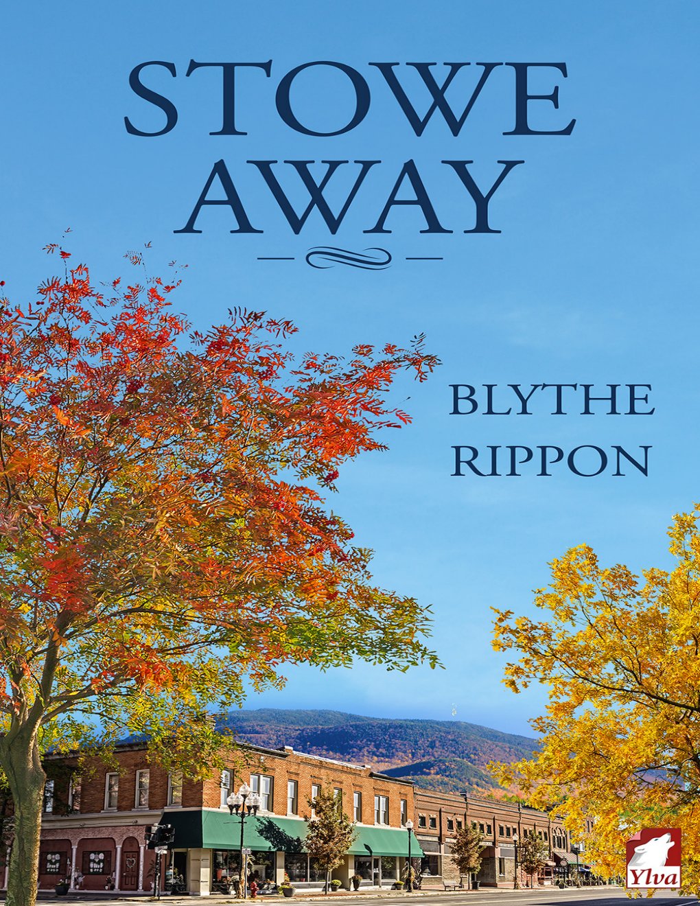 Cover of Stowe Away (2015)