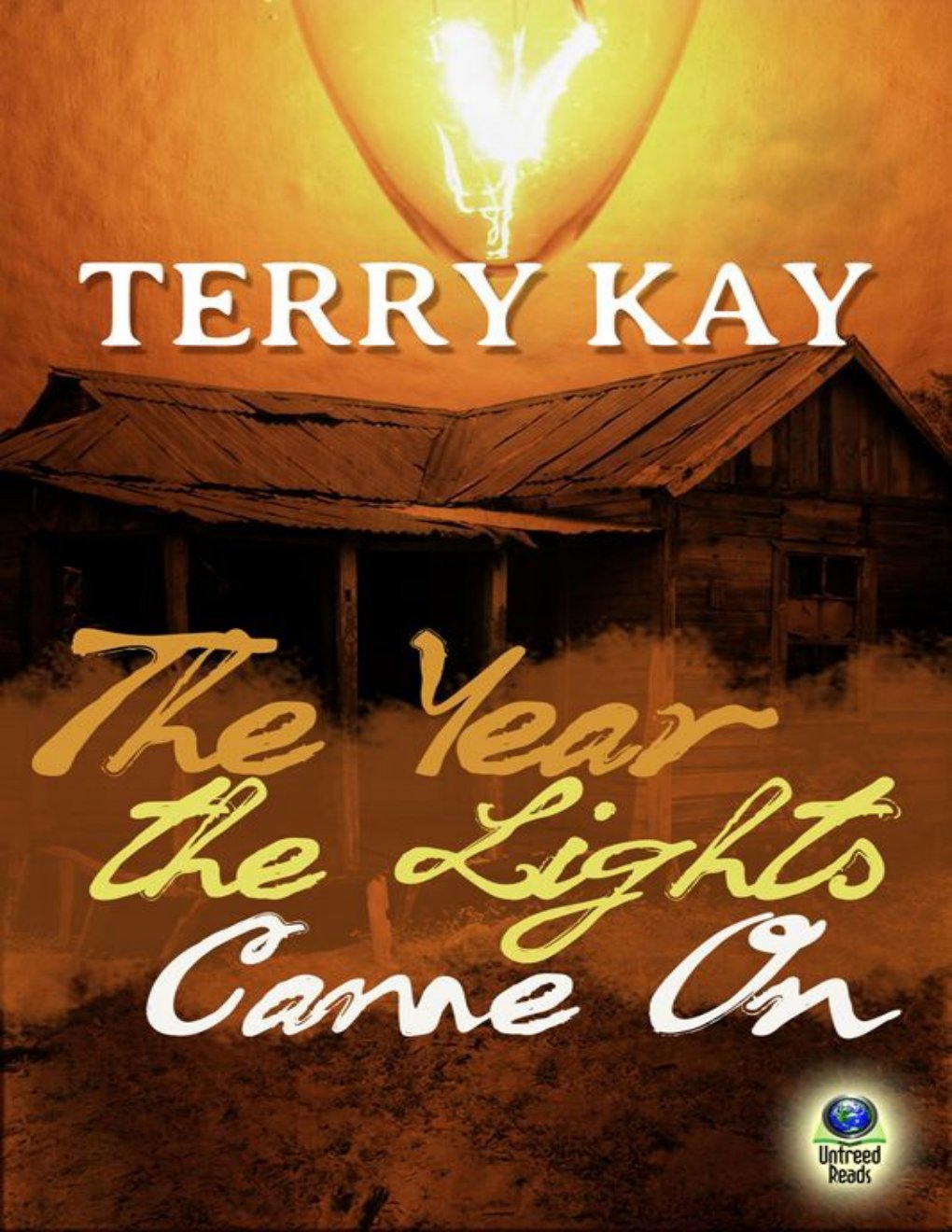 Cover of The Year the Lights Came On
