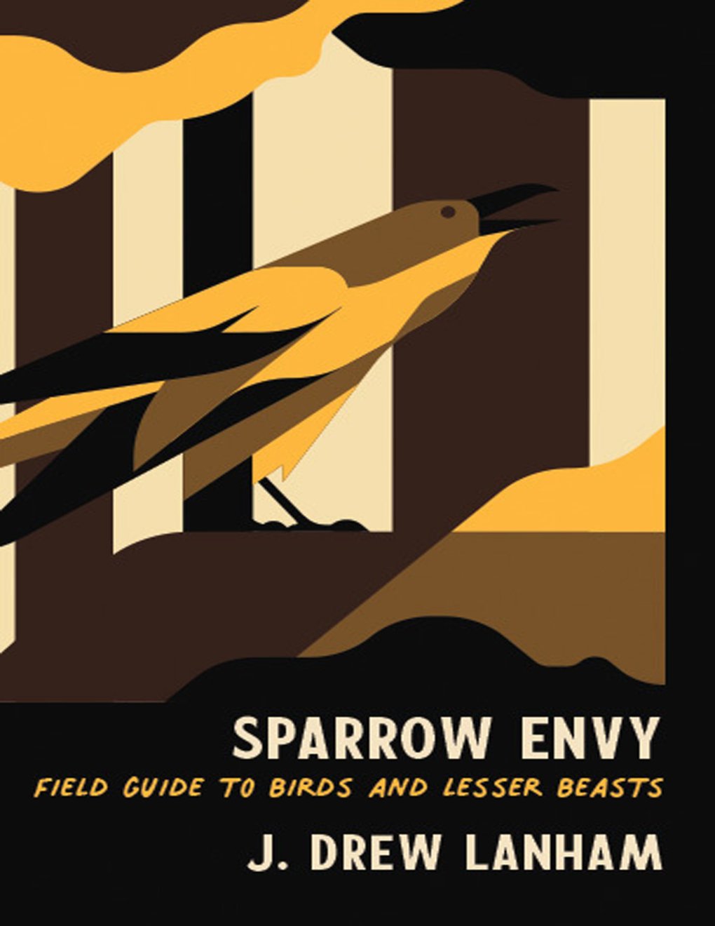Cover of Sparrow Envy