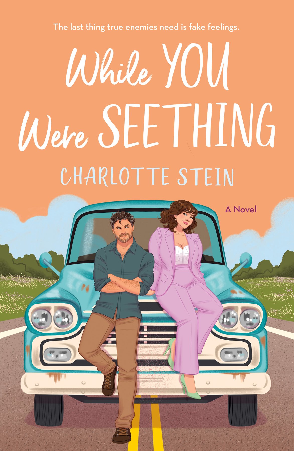 Cover of While You Were Seething