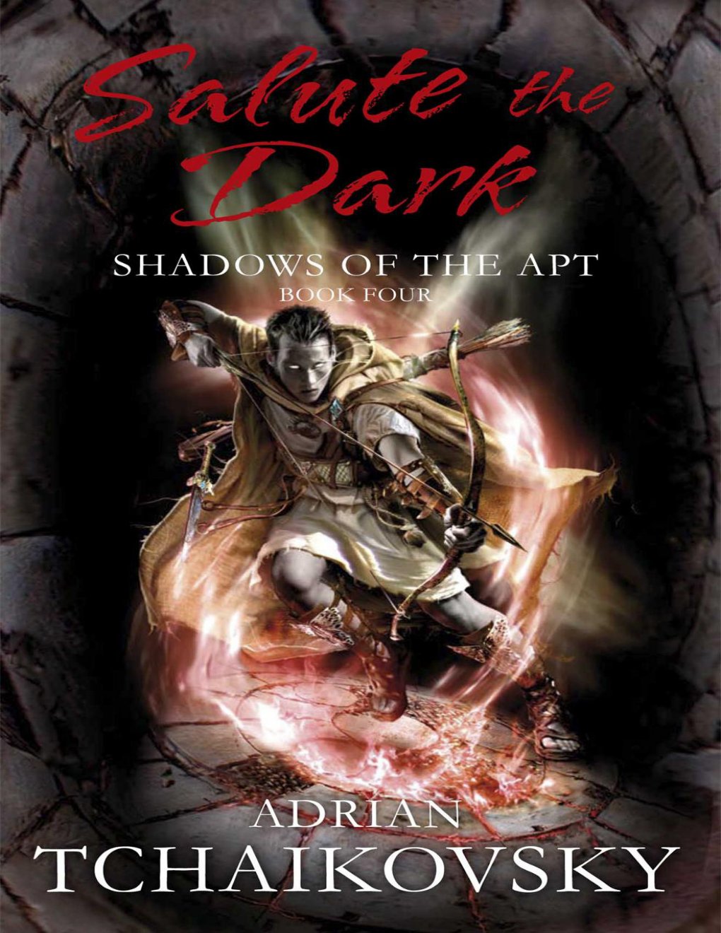Cover of Salute the Dark